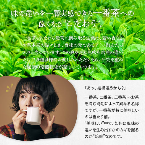 焙煎深蒸し茶 中火焙煎 深蒸し茶 100g